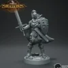 Miniature<Knight Galahad With Shield - Miniature Marvels: Airplane Models & Painted Dice