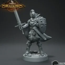 Miniature<Knight Galahad With Shield - Miniature Marvels: Airplane Models & Painted Dice