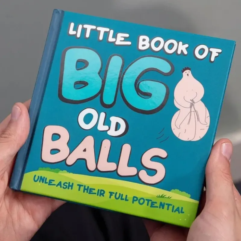 Egpull<Little Book of Big Old Balls - Hysterical Gag Joke Adult Fun Party Gift - Miniature Marvels: Airplane Models & Painted Dice
