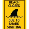 Egpull<Metal Tin Sign "Beach Closed: Due to Shark Sighting" Beach Jaws Decor #B-101 - Miniature Marvels: Airplane Models & Painted Dice