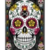 Egpull<Metal Tin Sign "Mexican Sugar Skull" Colorful Office Bedroom Wall Decor #E-101 - Miniature Marvels: Airplane Models & Painted Dice