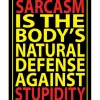 Egpull<Metal Tin Sign "Sarcasm Is The Body's Natural Defense Against Stupidity" #E-101 - Miniature Marvels: Airplane Models & Painted Dice