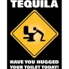 Egpull<Metal Tin Sign "TEQUILA: Have You Hugged Your Toilet Today!" Bar Man Cave #C-101 - Miniature Marvels: Airplane Models & Painted Dice