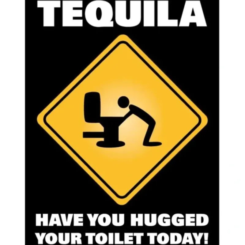Egpull<Metal Tin Sign "TEQUILA: Have You Hugged Your Toilet Today!" Bar Man Cave #C-101 - Miniature Marvels: Airplane Models & Painted Dice
