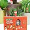 Egpull<Mini Festive Christmas Gnomes Planter Figurine Markers - Plant Pot Decorations - Miniature Marvels: Airplane Models & Painted Dice