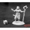 Miniature<Mistveil, Catfolk Sorceress: Dark Heaven Legends RPR 03927 - Miniature Marvels: Airplane Models & Painted Dice