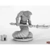 Miniature<Nagendra Spearman: Dark Heaven Legends RPR 03963 - Miniature Marvels: Airplane Models & Painted Dice