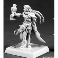 Miniature<Nature Warden: Pathfinder RPR 60064 - Miniature Marvels: Airplane Models & Painted Dice