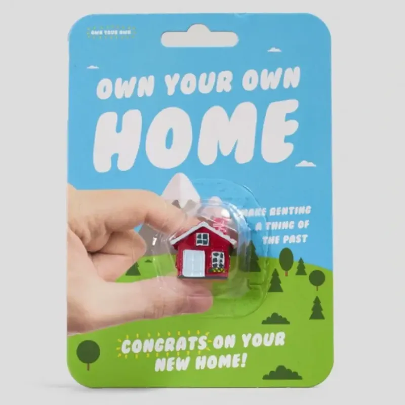 Egpull<Own your Own Home! - Add Water Grows 600% Larger! - Congrats! Funny Gag Gift - Miniature Marvels: Airplane Models & Painted Dice