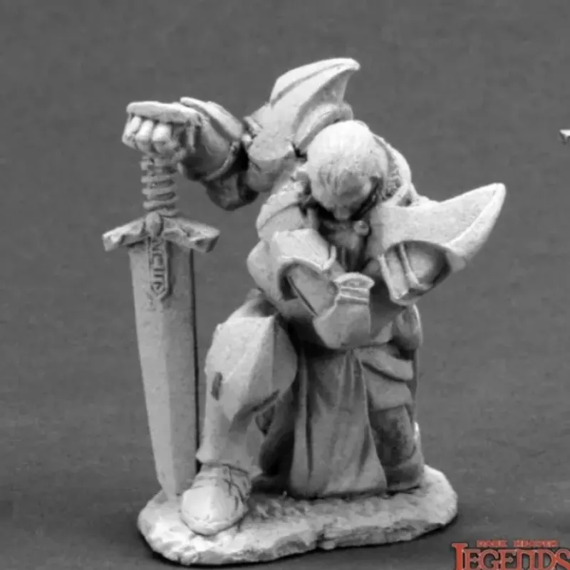 Miniature<Praying Paladin: Dark Heaven Legends RPR 03600 - Miniature Marvels: Airplane Models & Painted Dice
