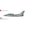 Airplane Model*Pre-Order Hobby Master HA9613 1:72 Rafale DQ QA209, Qatar Emiri Air Force, 2021 - Miniature Marvels: Airplane Models & Painted Dice