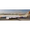 Airplane Model<Pre-Order JC Wings XX40293A 1:400 Etihad Airways Boeing 787-10 Dreamliner "Warner Bros. World" Reg: A6-BMA Flaps Down - Miniature Marvels: Airplane Models & Painted Dice