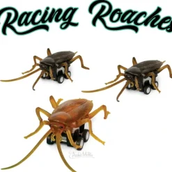 Egpull<Racing Roaches (set of 3) Funny Pull Back Race Bug Insect Toys - Archie McPhee - Miniature Marvels: Airplane Models & Painted Dice