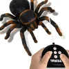 Egpull<Radio Remote Control Tarantula Spider Scary Prank Realistic Creepy Hairy Toy - Miniature Marvels: Airplane Models & Painted Dice