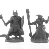 Reaper Miniatures<Reaper Dragonfolk Wizard and Cleric 44144 - Miniature Marvels: Airplane Models & Painted Dice