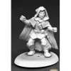 Miniature<Rippers - Masked Crusader (Male): Savage Worlds RPR 59045 - Miniature Marvels: Airplane Models & Painted Dice