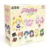 Board Game<Sailor Moon Crystal: Truth or Bluff GGD DYS402 - Miniature Marvels: Airplane Models & Painted Dice