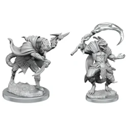 Miniature<Serpentfolk: Pathfinder Battles Deep Cuts WZK 90500 - Miniature Marvels: Airplane Models & Painted Dice