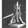 Miniature<Shadowguard, Darkreach House Guard: Warlord RPR 14639 - Miniature Marvels: Airplane Models & Painted Dice