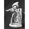 Miniature<Shaern, Female Antipaladin: Dark Heaven Legends RPR 03762 - Miniature Marvels: Airplane Models & Painted Dice