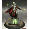 Miniature<Skeletal Champion: Dark Heaven Legends RPR 03752 - Miniature Marvels: Airplane Models & Painted Dice