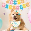 Egpull<The Birthday Dog Puppy Kit - GO VIRAL - Funny GaG Costume Complete Set - Miniature Marvels: Airplane Models & Painted Dice