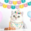 Egpull<The Birthday Kitty Cat Kit - GO VIRAL - Funny GaG Costume Complete Set - Miniature Marvels: Airplane Models & Painted Dice