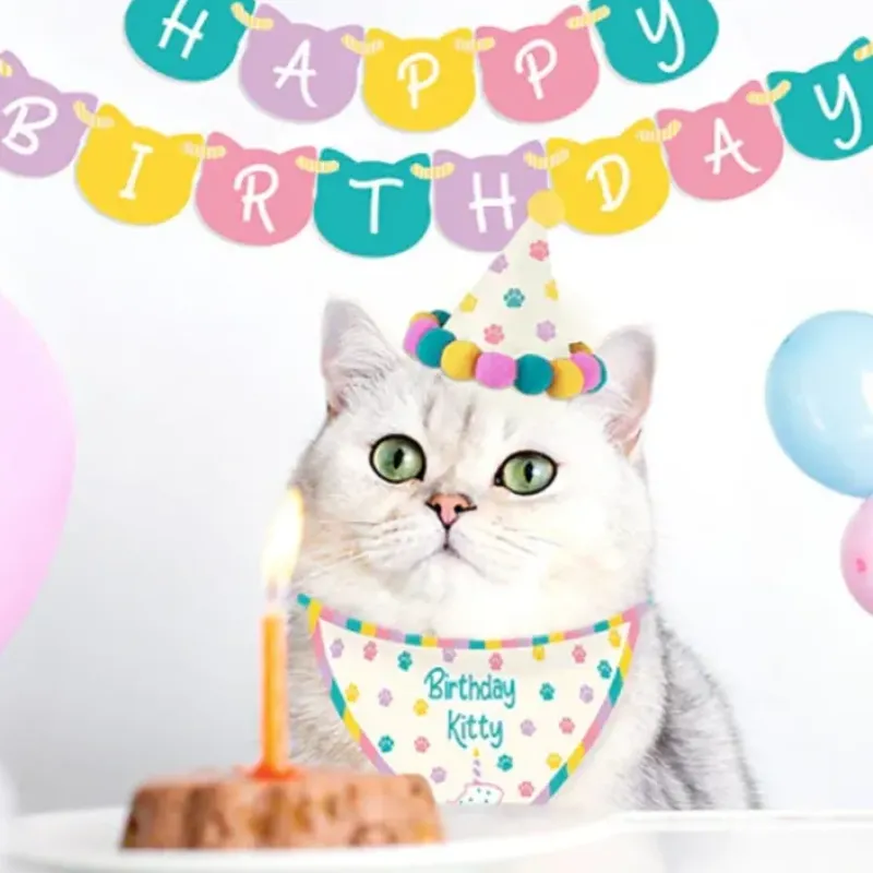 Egpull<The Birthday Kitty Cat Kit - GO VIRAL - Funny GaG Costume Complete Set - Miniature Marvels: Airplane Models & Painted Dice