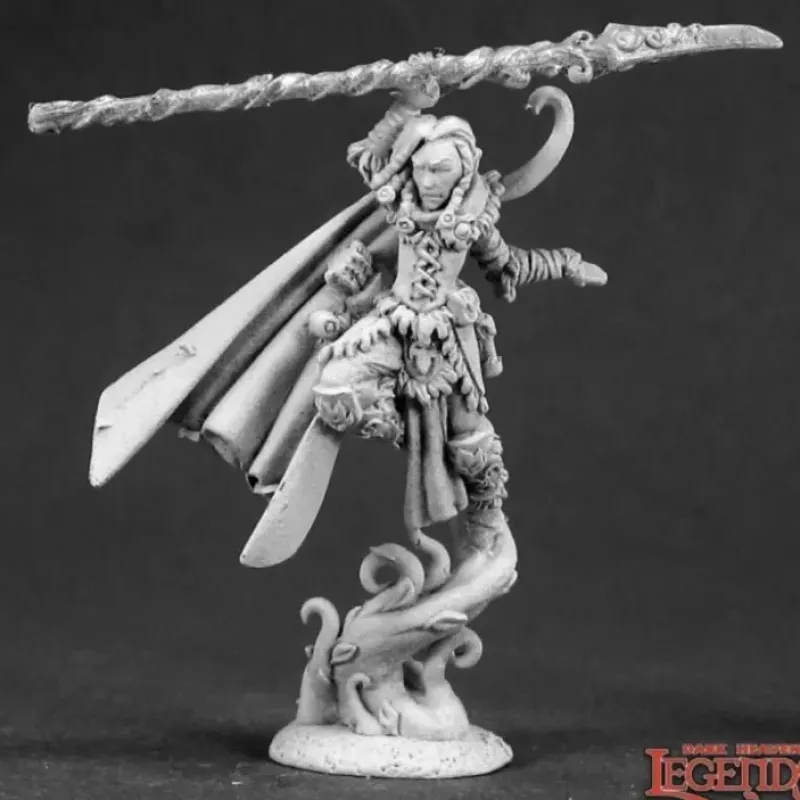 Miniature<Tobias Winterhorn, Druid: Dark Heaven Legends RPR 03294 - Miniature Marvels: Airplane Models & Painted Dice