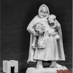 Miniature<Townsfolk - Sage: Dark Heaven Legends RPR 03858 - Miniature Marvels: Airplane Models & Painted Dice