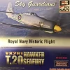 Airplane Model<Witty Wings WTW72-025-00B 1:72 Hawker Sea Fury T.20 VX281 - Miniature Marvels: Airplane Models & Painted Dice