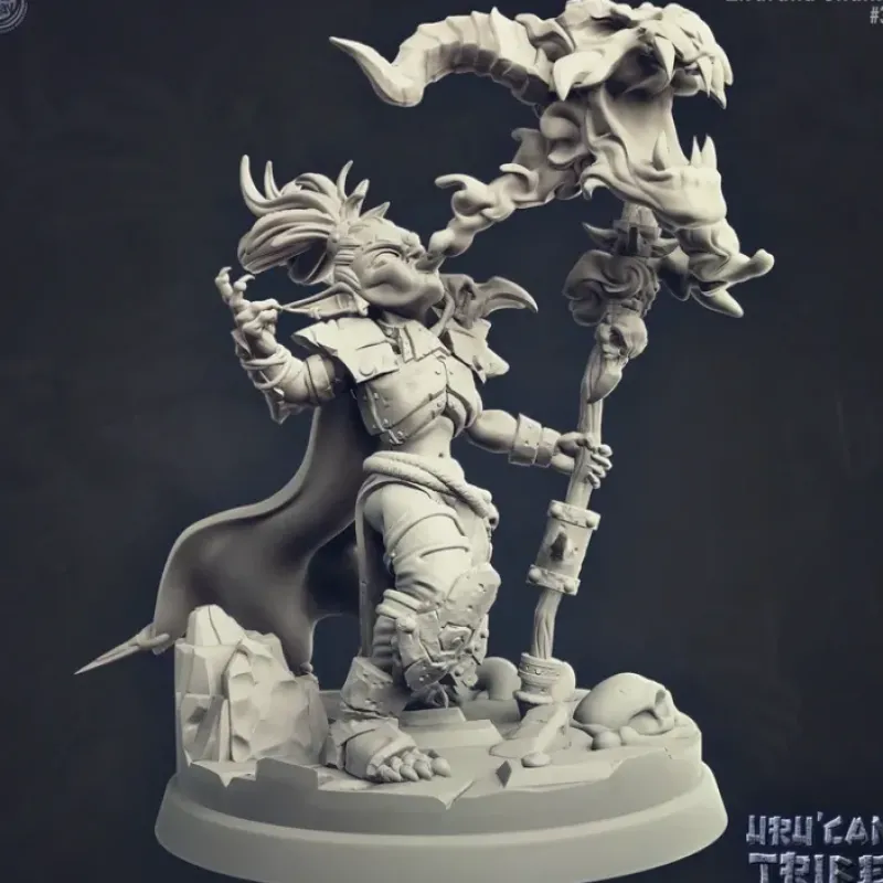 Miniature<Zirdrana Shaman - Miniature Marvels: Airplane Models & Painted Dice